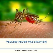 Yellow fever vaccine Birmingham